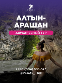Алтын Арашан