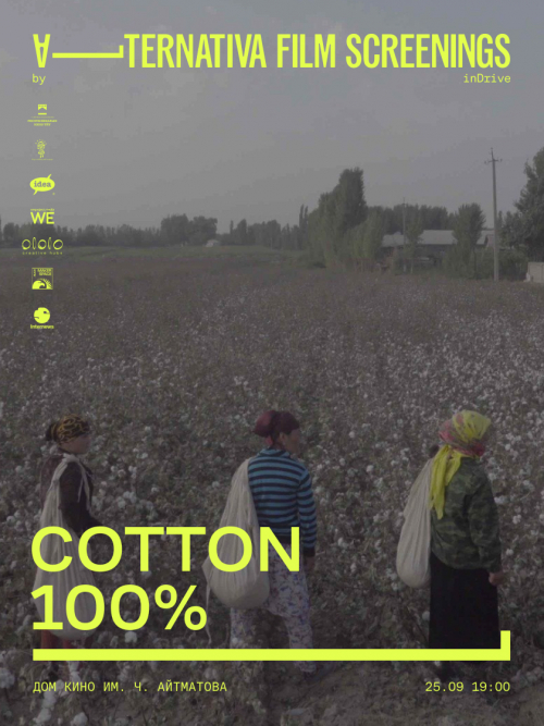 Cotton 100%