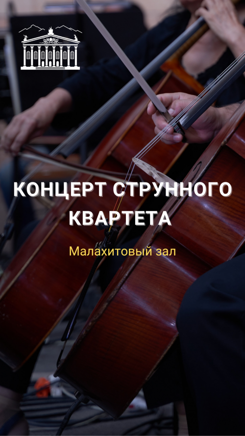 Концерт струнного квартета симфонического оркестра театра