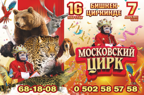 Московский Цирк