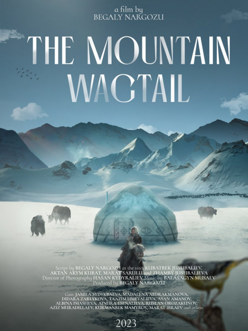 Жылкычы чымчык / The Mountain Wagtail