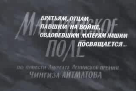 Материнское поле