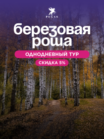 Урочище Бойрок (Березовая роща)